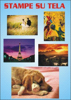 TELA.jpg (49304 byte)