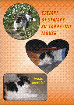 tappetini.jpg (47878 byte)